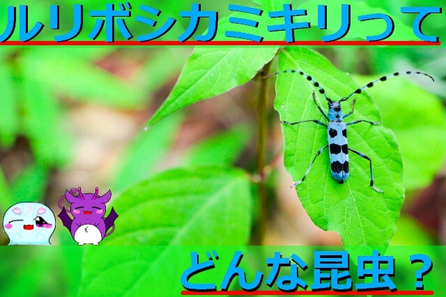 Thumbnail of post image 069